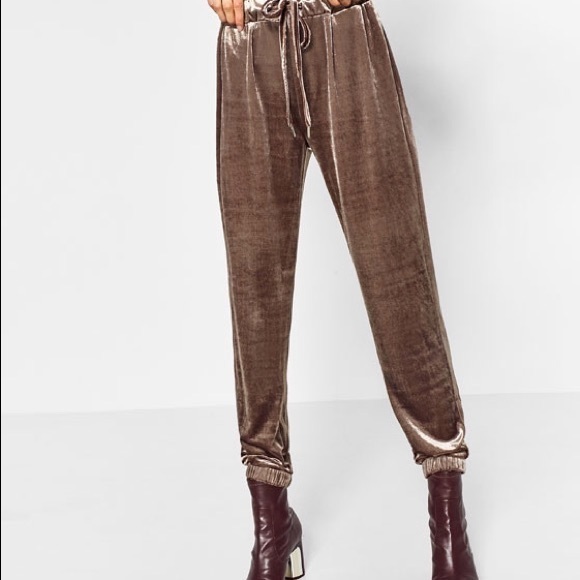 velvet pants zara